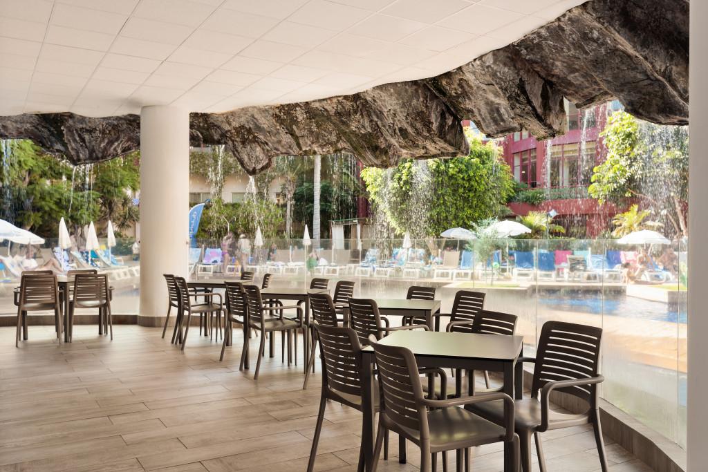 Best Jacaranda Tenerife Costa Adeje