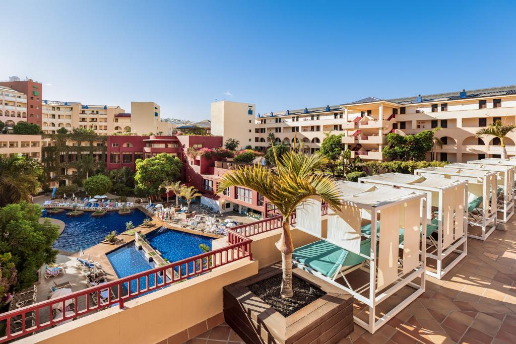 Best Jacaranda Tenerife Costa Adeje
