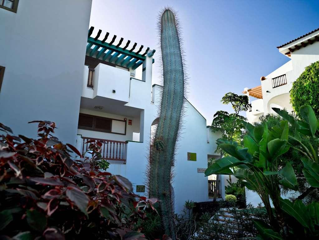 Blue Sea Callao Garden Tenerife Costa Adeje