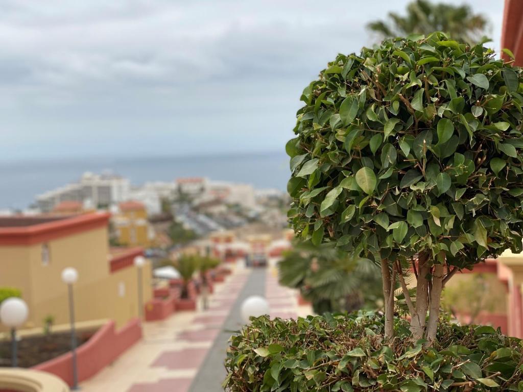 Laguna Park I Tenerife Costa Adeje