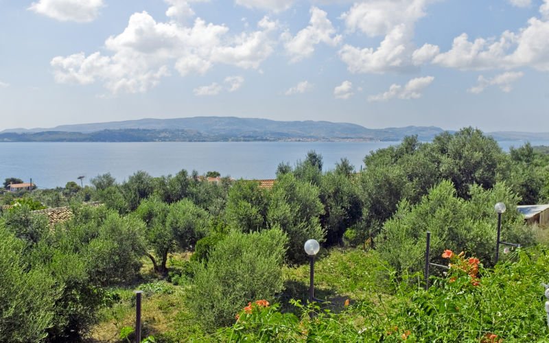 Katerina Stúdiók Kefalonia Lassi