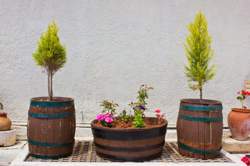 Kefalonia Lassi utazás Katerina Stúdiók