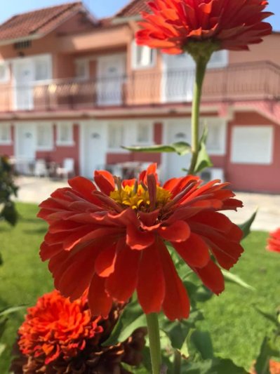 Paradise aparthotel Kefalonia