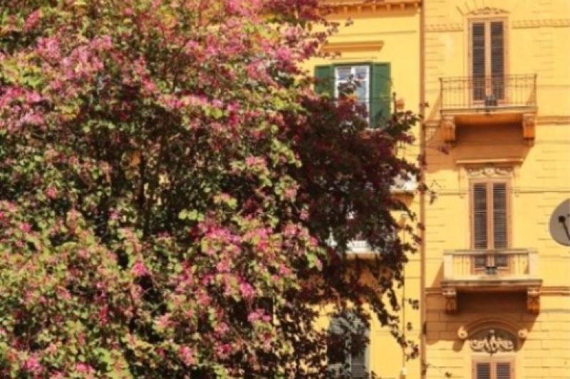 Szicília Palermo utazás 5 Napos Városlátogatás 3* Hotel