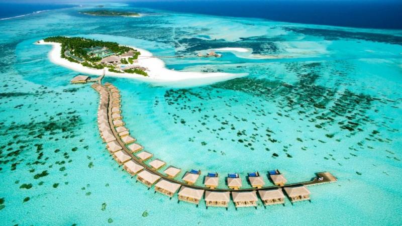 Maldív-szigetek utazás Hotel Cocoon Maldives
