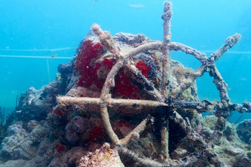 St. Maarten utazás Hotel Divi Little Bay Beach Resort