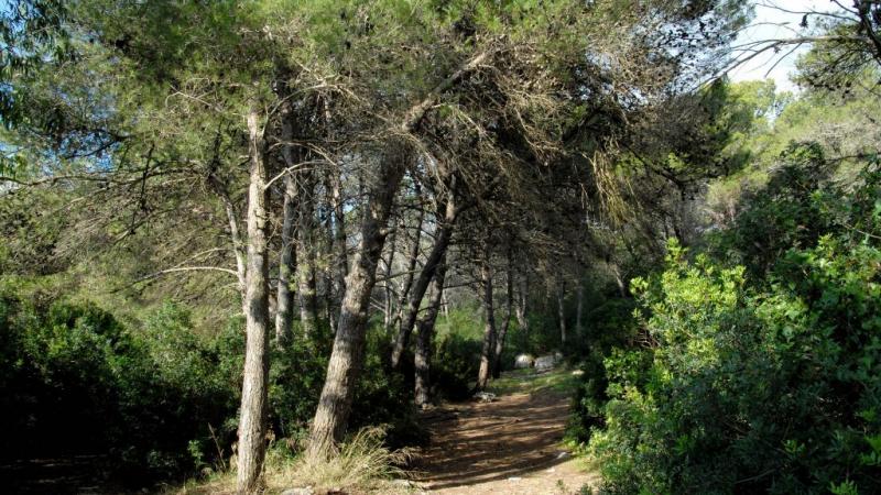 Szardínia Alghero utazás Hotel Punta Negra