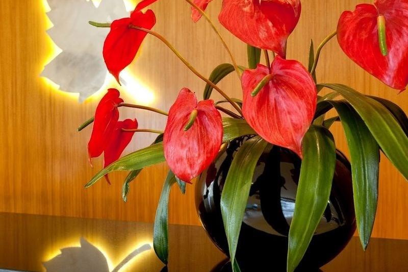 Azori-szigetek Ponta Delgada utazás Hotel Vila Nova