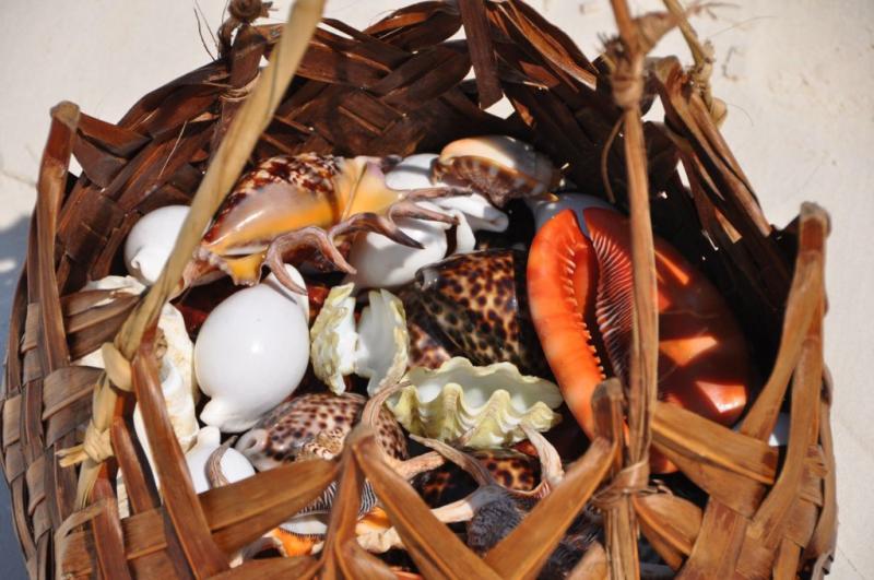 Karibu 5 napos szafari + 6 napos óceánparti pihenés Diani Beach-en