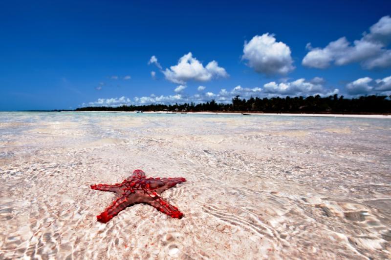 Karibu 5 napos szafari + 6 napos óceánparti pihenés Diani Beach-en