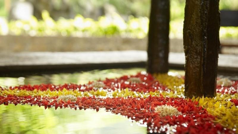 Seychelle-szigetek utazás Fishermans Cove Resort Hotel