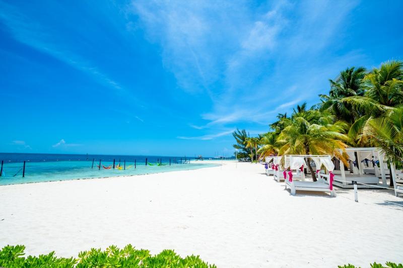 Mexikó utazás Oasis Palm Hotel