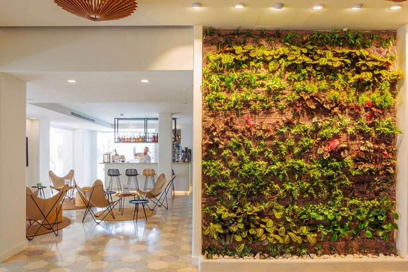 Mallorca Can Pastilla utazás Hm Alma Beach