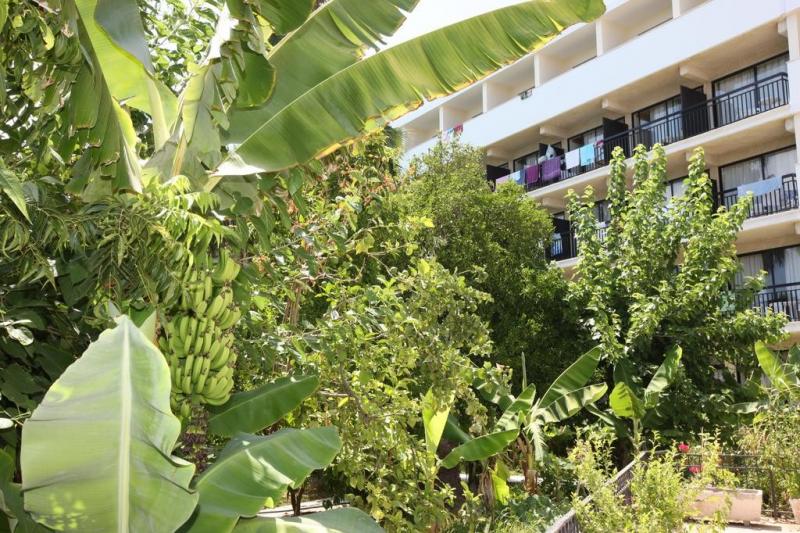 Dél-Ciprus Paphos utazás Hotel Veronica