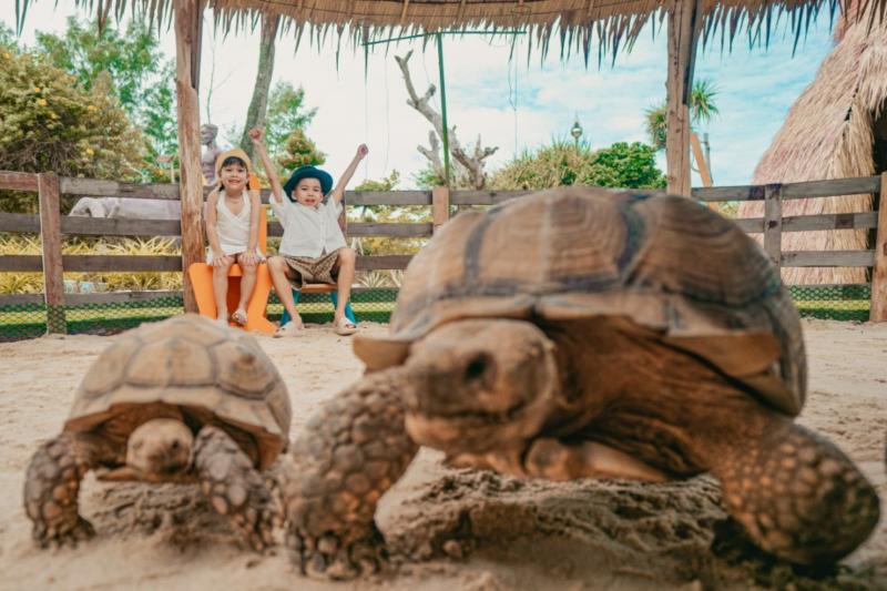 Phuket utazás Thavorn Palm Beach Resort Hotel