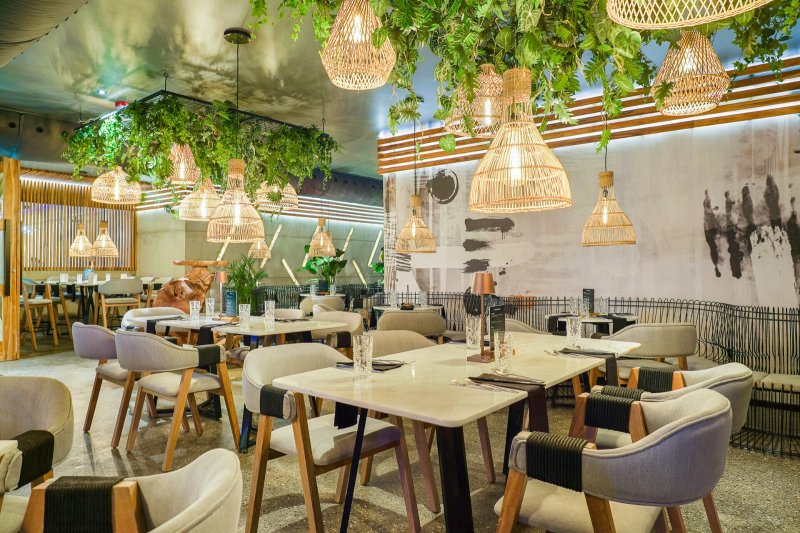 Aruba utazás Divi Aruba Hotel