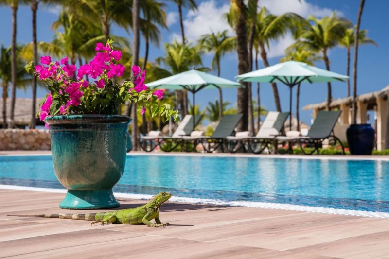 Aruba utazás Manchebo Beach Resort & Spa Hotel