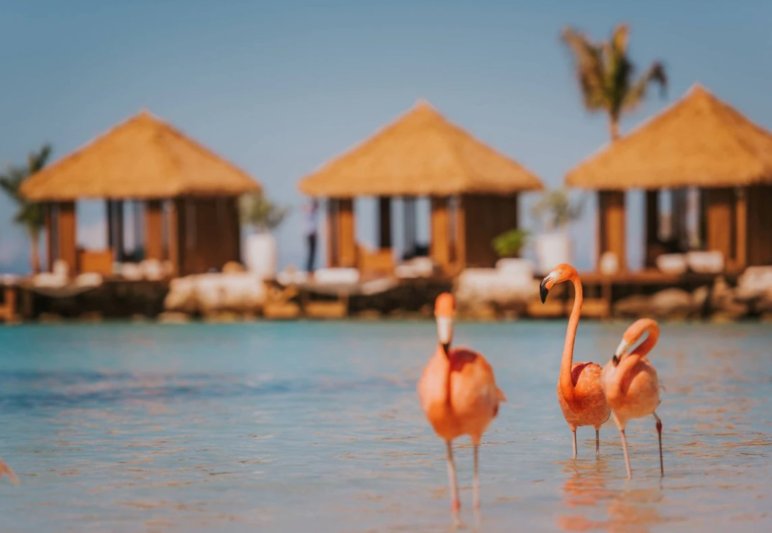 Aruba utazás Renaissance Wind Creek Aruba Resort Hotel