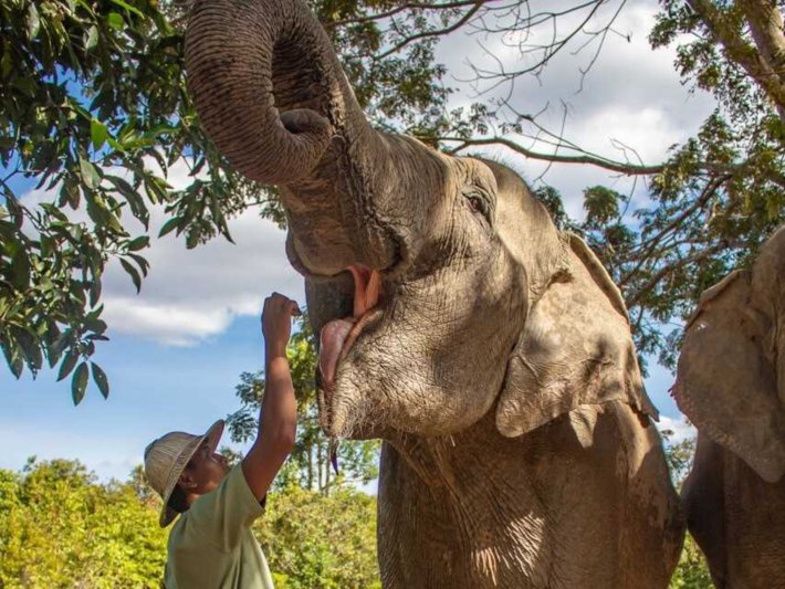Thaiföldi körutazások utazás Thaiföld-Kambodzsa körutazás üdüléssel Pattayán