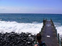 The Views Oasis Hotel Madeira
