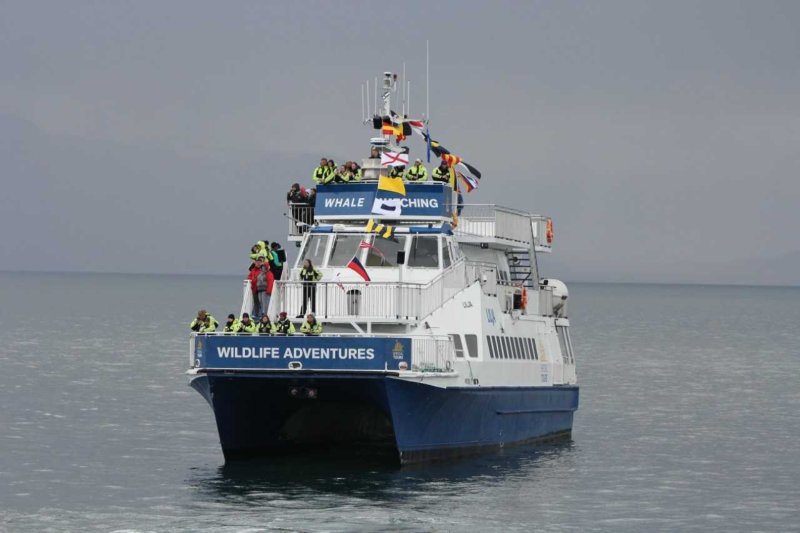 9 nap / 7 éjszakás városlátogatás Reykjavíkban – Hotel ***