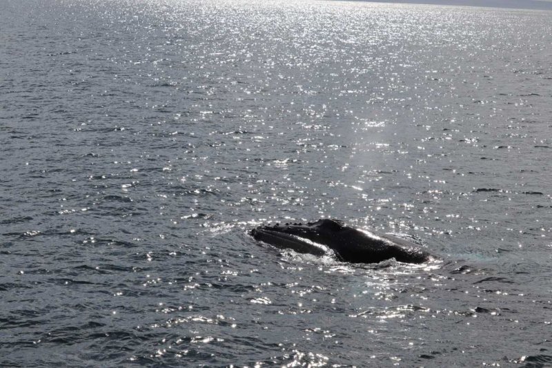 9 nap / 7 éjszakás városlátogatás Reykjavíkban – Hotel ***