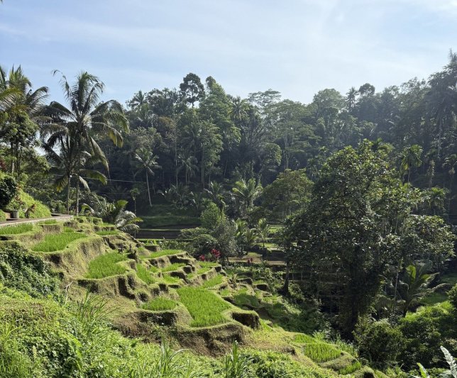 Bali csoportos utazás magyar idegenvezetéssel