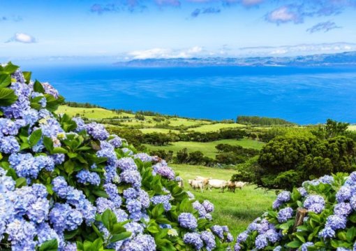 Azori-szigetek – Sao Miguel És Terceira