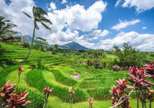 Bali utazás Bali, az Istenek szigete