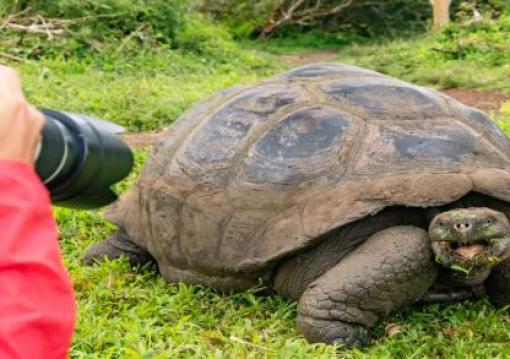 Ecuador: Quito És Galápagos-szigetek Világa