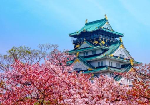 Japán a cseresznyevirágzás idején