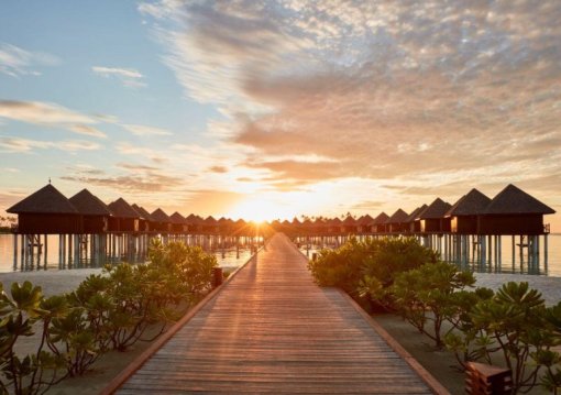 Körutazás Srí Lankán, pihenéssel a Maldív-szigeteken, Kőváry Anett jógaterapeutával