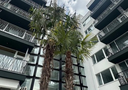 Napospart utazás Bavaro Hotel