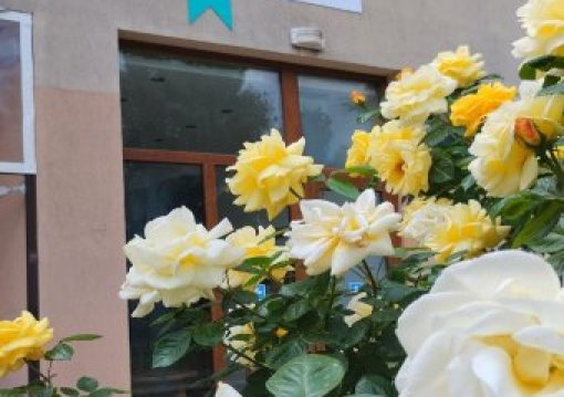 Napospart utazás Hotel 415