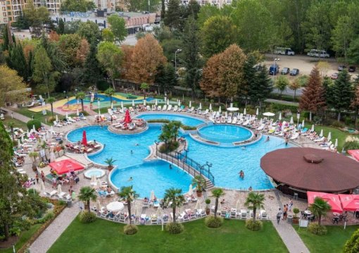 Napospart utazás Hrizantema