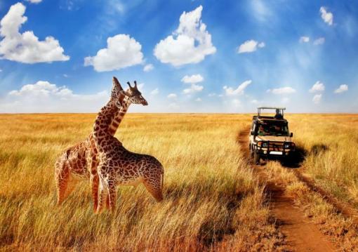 Serengeti szafari program pihenéssel Zanzibár szigetén - 2027. március