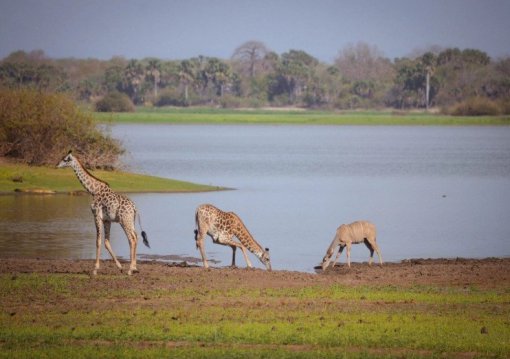 Zanzibár és vad Afrika körutazás