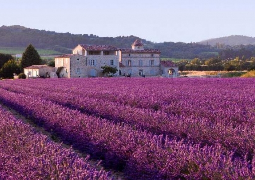 Francia körutak utazás Cote Dazur-i Csillogás és Provence-i Levendulák