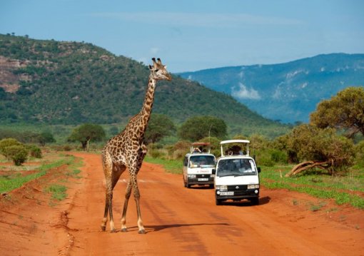 Kenya utazás Szafari (3+4)