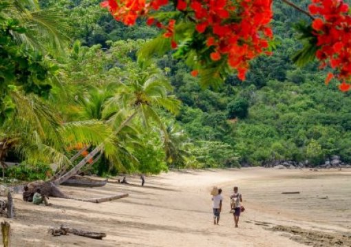 Madagaszkár Felfedezése