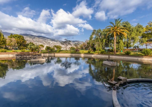 Madeira utazás Allegro Madeira Adults Only