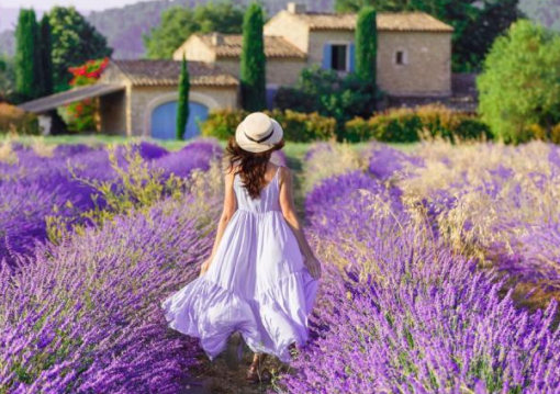 Provence, A Francia Riviéra És Monaco