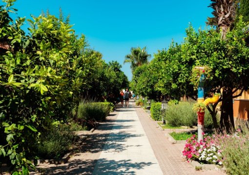 Side utazás Ozlem Garden