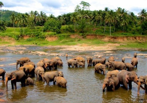 Srí Lanka esszenciája - az örökségtől a felföldekig