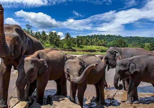 Srí Lanka februárban - Ceyloni krónikák