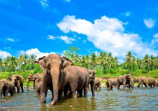 Srí Lanka körutazás tengerparti pihenéssel 2024. február 14-26.