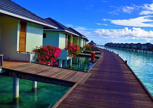 Maldív-szigetek utazás Villa Park - Sun Island Resort