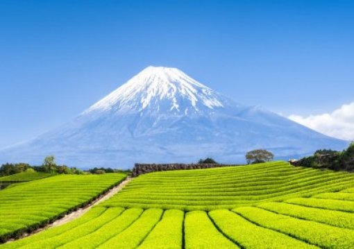 Világörökségek Japánban