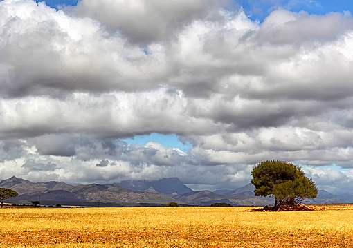 Dél-Afrikai Köztársaság utazás