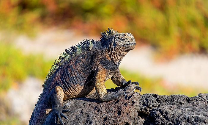Ecuador távoli világa